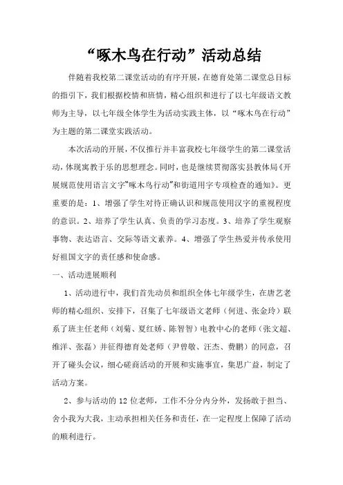 啄木鸟在行动-活动总结
