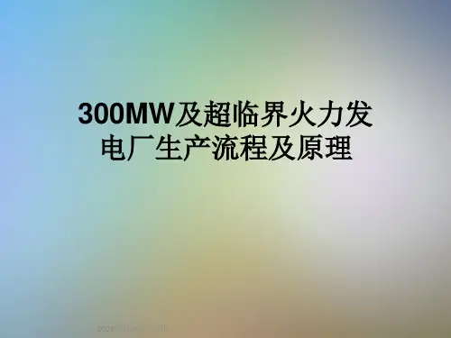 300MW及超临界火力发电厂生产流程及原理
