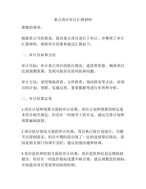 重点项目审计汇报材料