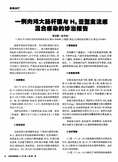 一例肉鸡大肠杆菌与H9亚型禽流感混合感染的诊治报告