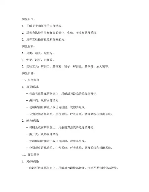 贝类虾类的解剖实验报告
