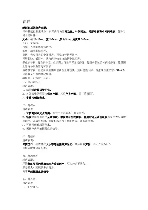 肾脏超声表现