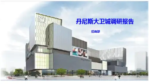 丹尼斯大卫城调研报告ppt课件