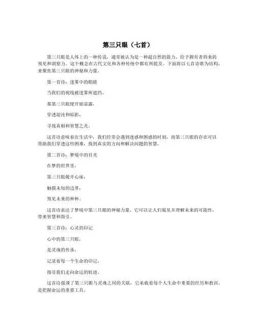 第三只眼(七首)