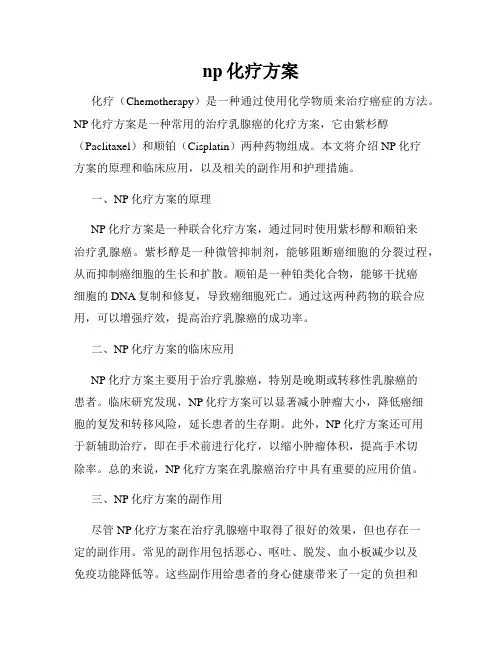 np化疗方案
