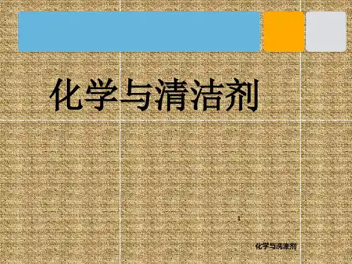 《清洁剂的妙用》PPT课件