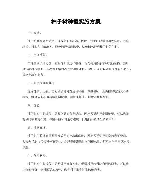 柚子树种植实施方案
