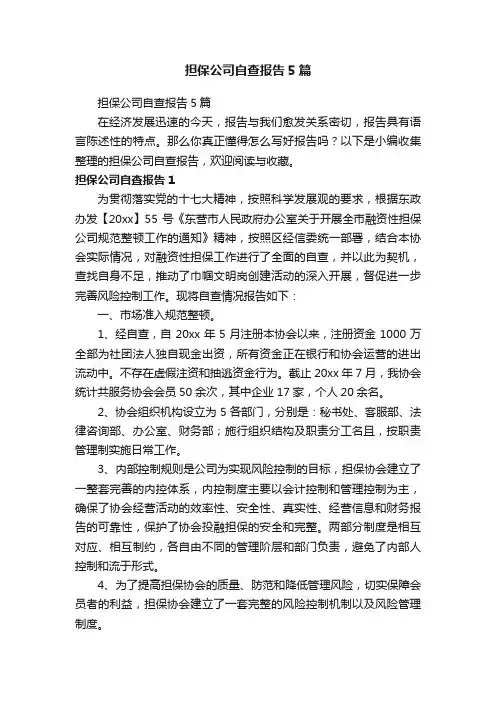 担保公司自查报告5篇