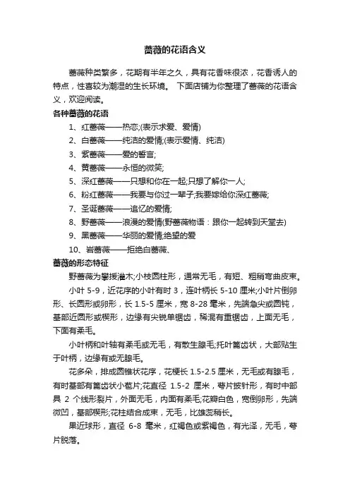 蔷薇的花语含义