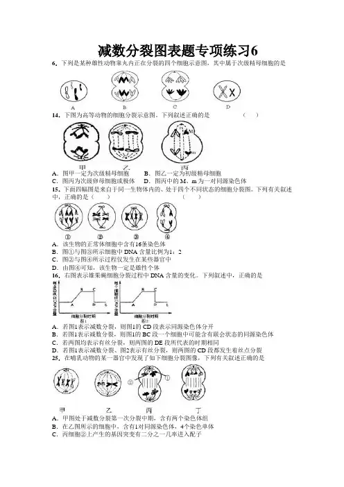 减数分裂图表题专项练习