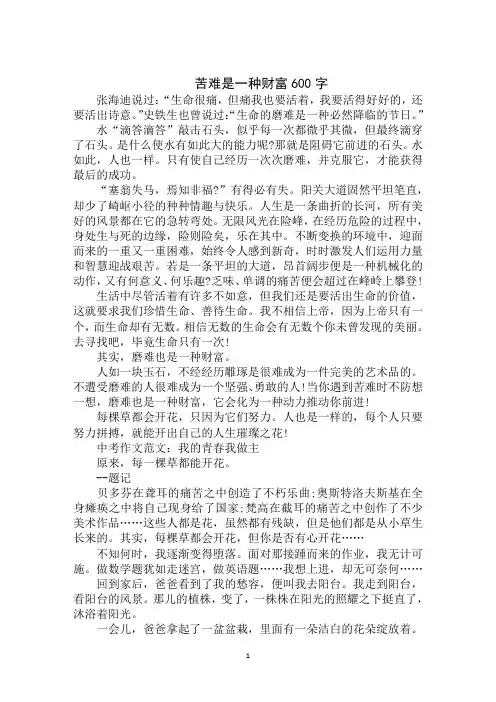 最新2020年中考作文：父亲为我撑起一片蓝天范文示例