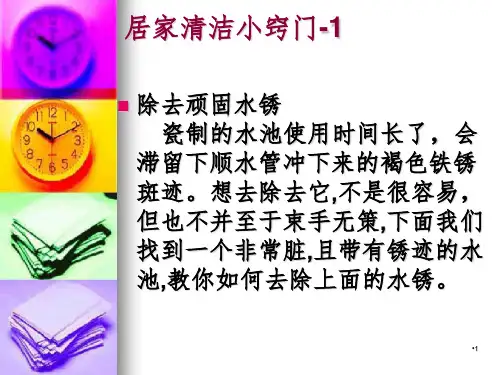 居家清洁小窍门PPT课件