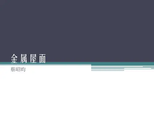 蔡昭昀-金属屋面