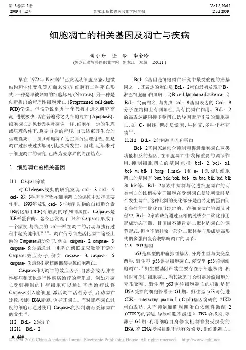 细胞凋亡的相关基因及凋亡与疾病