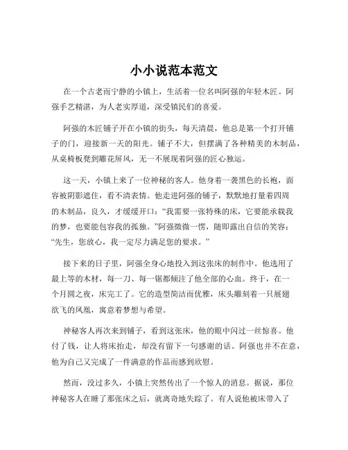 小小说范本范文
