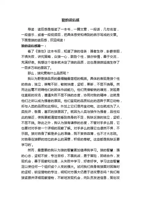 关于狼的读后感