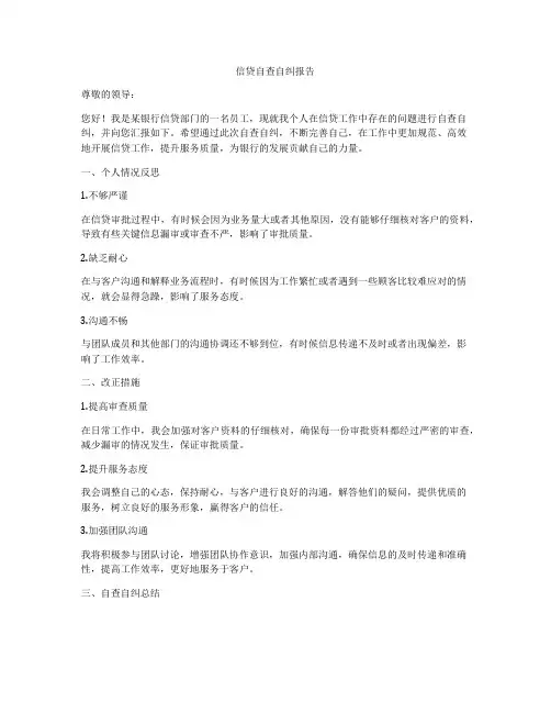 信贷自查自纠报告