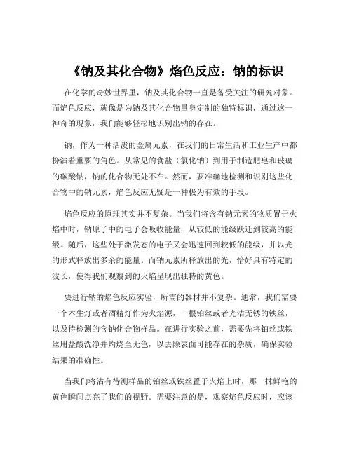 《钠及其化合物》焰色反应：钠的标识