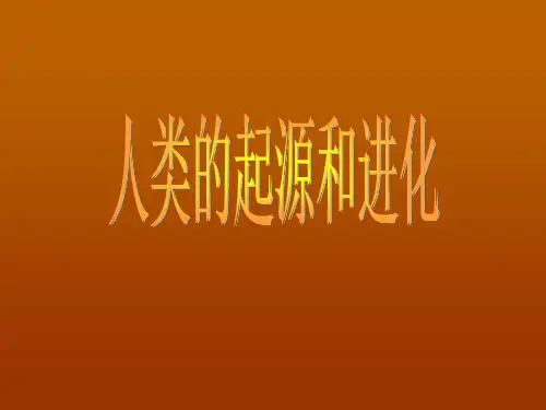 16.4《人类的起源和进化》课件     19张PPT