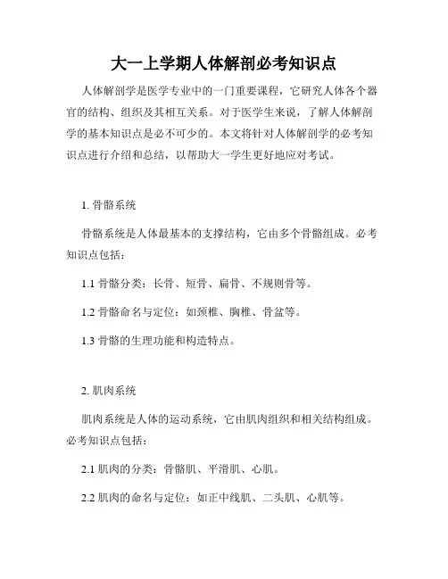 大一上学期人体解剖必考知识点