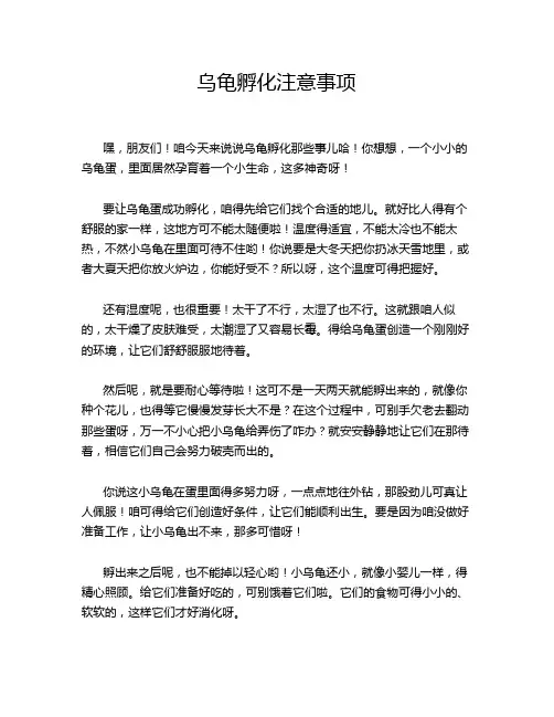 乌龟孵化注意事项