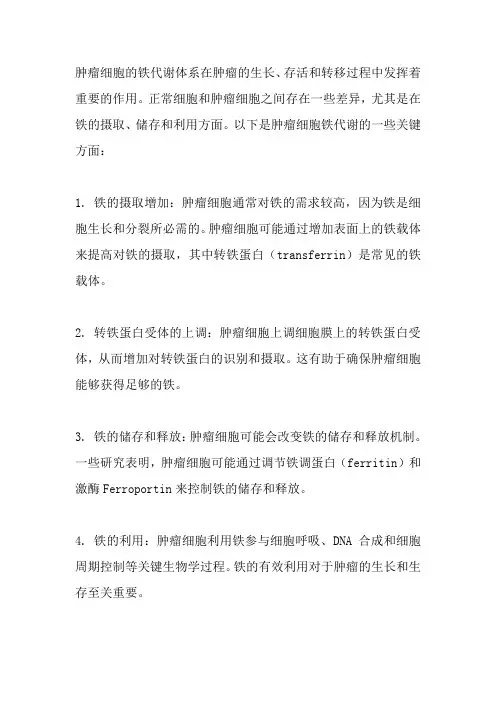 肿瘤细胞铁代谢体系