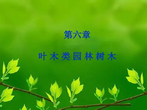 园林树木学课件——叶木类园林树木