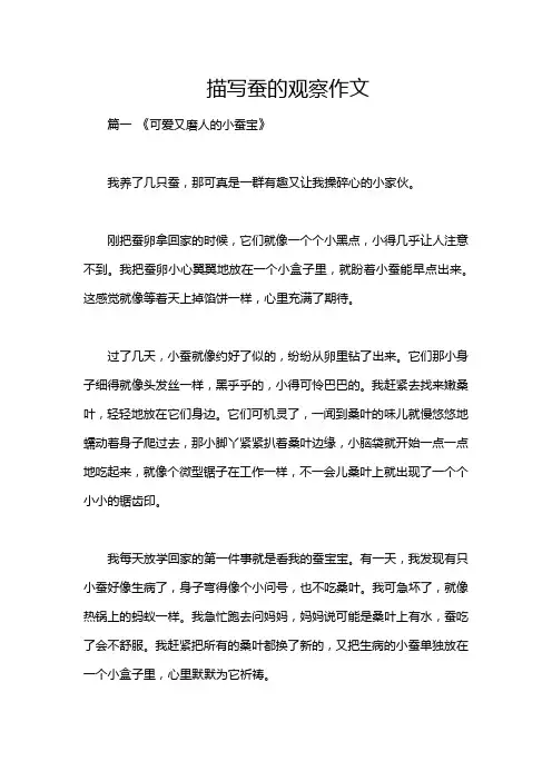 描写蚕的观察作文