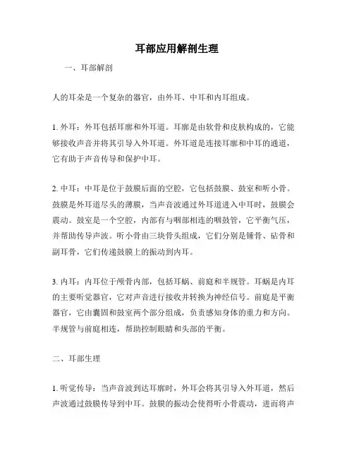 耳部应用解剖生理