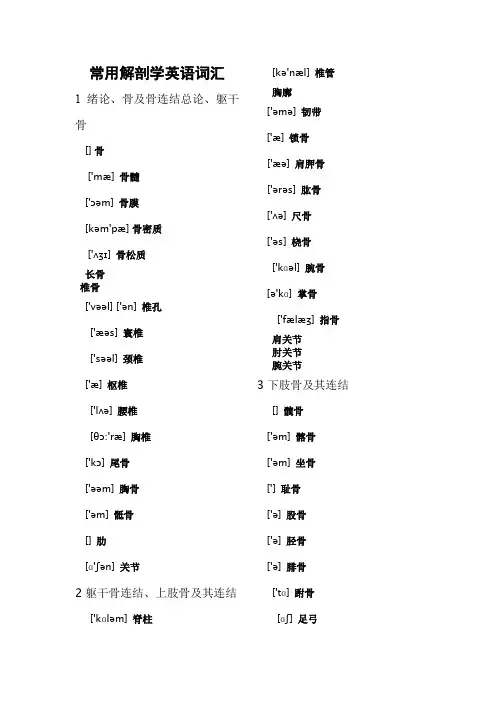 常用解剖学英文词汇