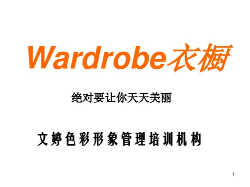 衣橱整理PPT课件