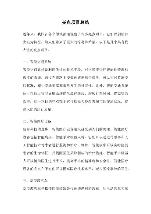亮点项目总结