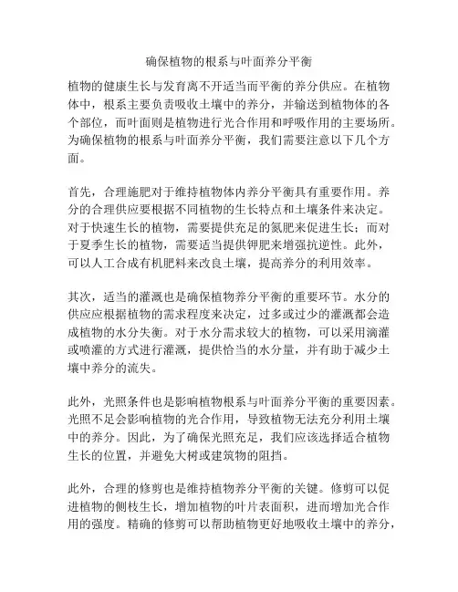 确保植物的根系与叶面养分平衡