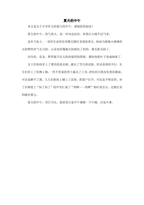 夏天的中午_小学作文