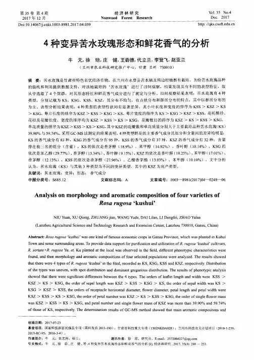 4种变异苦水玫瑰形态和鲜花香气的分析