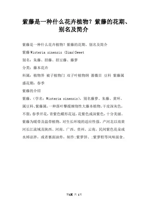 紫藤是一种什么花卉植物？紫藤的花期、别名及简介