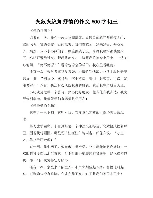 夹叙夹议加抒情的作文600字初三
