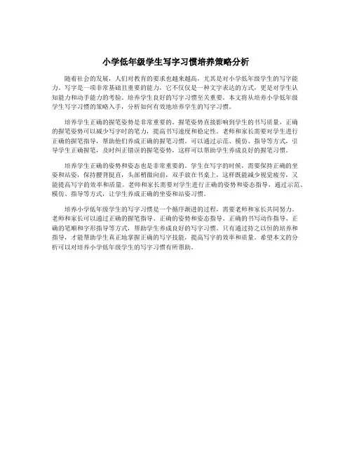 小学低年级学生写字习惯培养策略分析