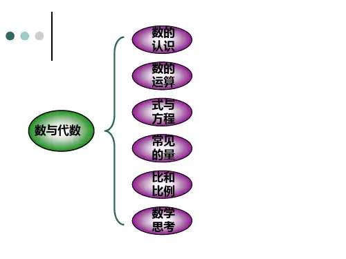 数与代数教学课件