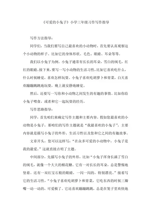 《可爱的小兔子》小学三年级习作写作指导