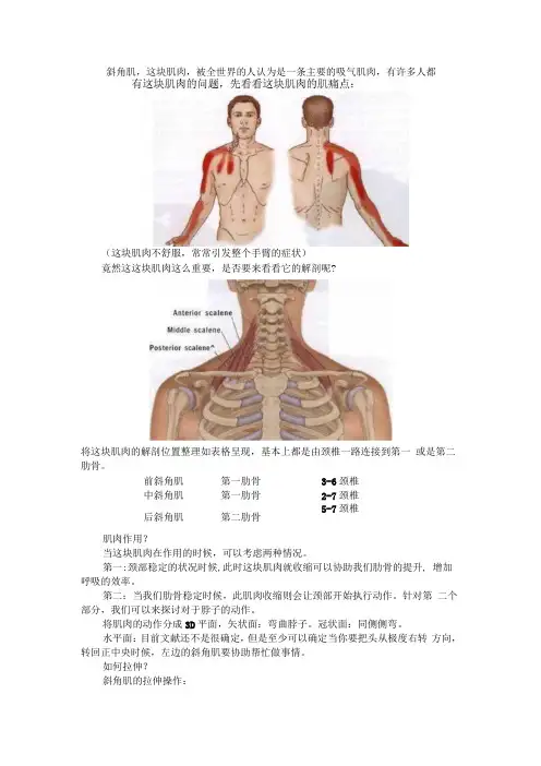 (课件)斜角肌功能详解