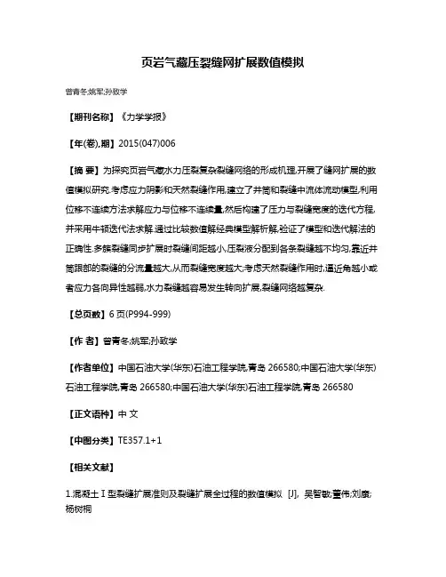 页岩气藏压裂缝网扩展数值模拟