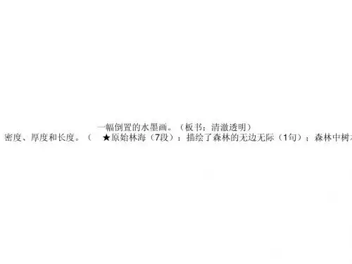 阿里山纪行D