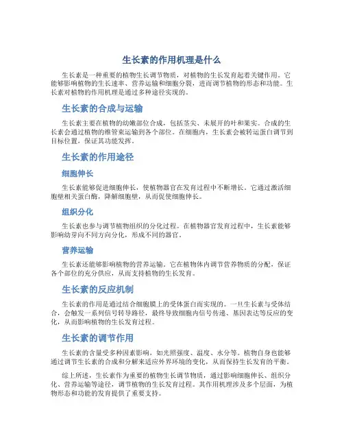 生长素的作用机理是什么