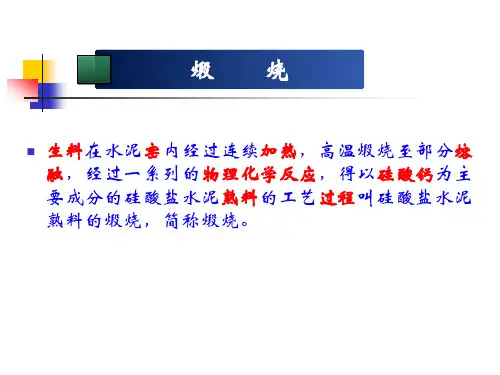 硅酸盐水泥煅烧ppt课件