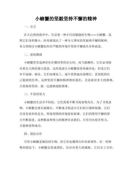 小螃蟹的坚毅坚持不懈的精神
