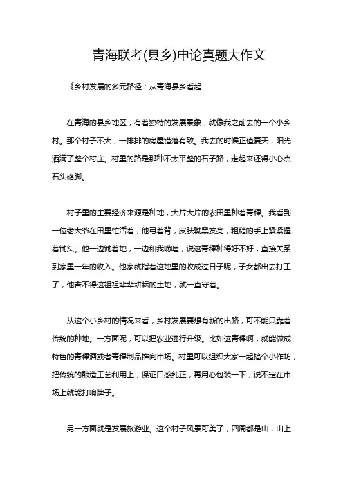 青海联考(县乡)申论真题大作文
