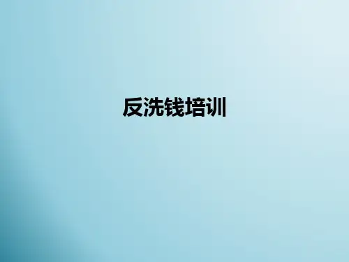 反洗钱培训ppt课件