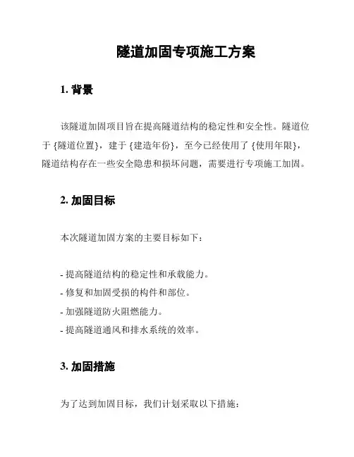 隧道加固专项施工方案