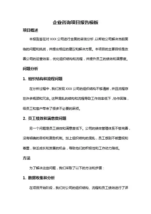 企业咨询项目报告模板
